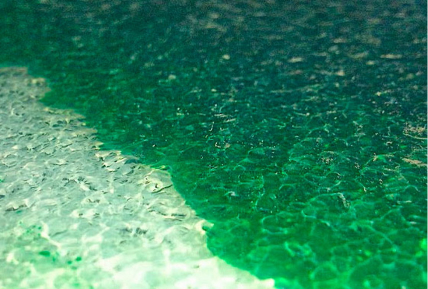 Живая плитка зеленая